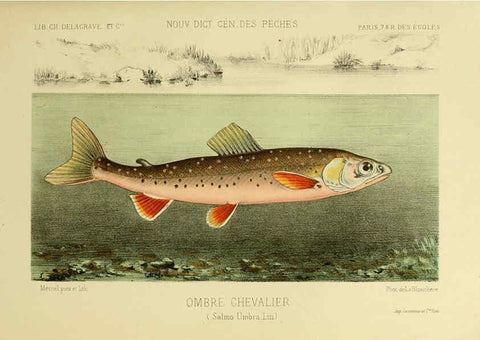 Reproducción/Reproduction 6267238116: La Pêche et les poissons Paris :C. Delagrave et cie,1868