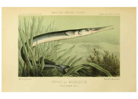 Reproducción/Reproduction 6266712015: La Pêche et les poissons Paris :C. Delagrave et cie,1868