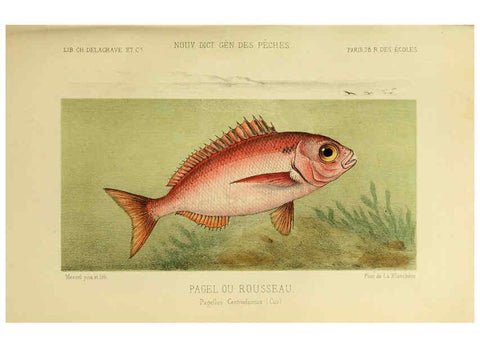 Reproducción/Reproduction 6266712187: La Pêche et les poissons Paris :C. Delagrave et cie,1868