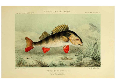 Reproducción/Reproduction 6266712515: La Pêche et les poissons Paris :C. Delagrave et cie,1868