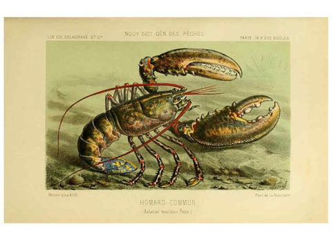 Reproducción/Reproduction 6267236110: La Pêche et les poissons Paris :C. Delagrave et cie,1868