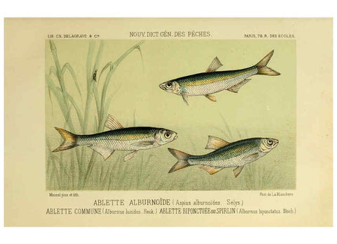 Reproducción/Reproduction 6266706397: La Pêche et les poissons Paris :C. Delagrave et cie,1868