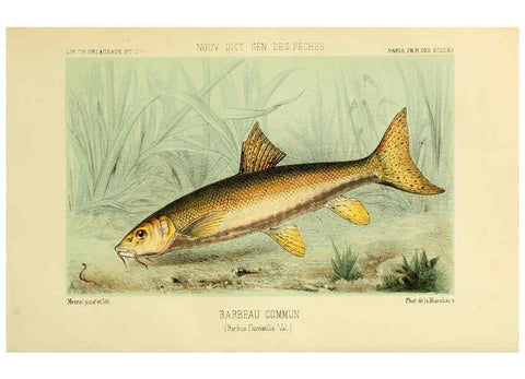 Reproducción/Reproduction 6267233622: La Pêche et les poissons Paris :C. Delagrave et cie,1868