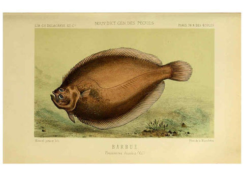 Reproducción/Reproduction 6266707303: La Pêche et les poissons Paris :C. Delagrave et cie,1868