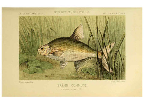 Reproducción/Reproduction 6267233924: La Pêche et les poissons Paris :C. Delagrave et cie,1868