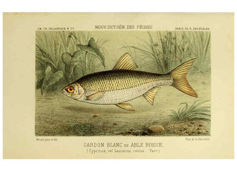 Reproducción/Reproduction 6267239878: La Pêche et les poissons Paris :C. Delagrave et cie,1868