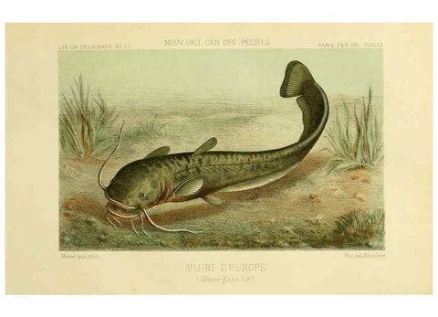 Reproducción/Reproduction 6267240548: La Pêche et les poissons Paris :C. Delagrave et cie,1868