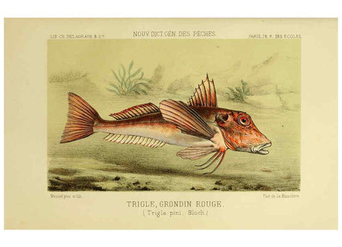 Reproducción/Reproduction 6266714315: La Pêche et les poissons Paris :C. Delagrave et cie,1868