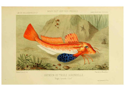 Reproducción/Reproduction 6267240876: La Pêche et les poissons Paris :C. Delagrave et cie,1868