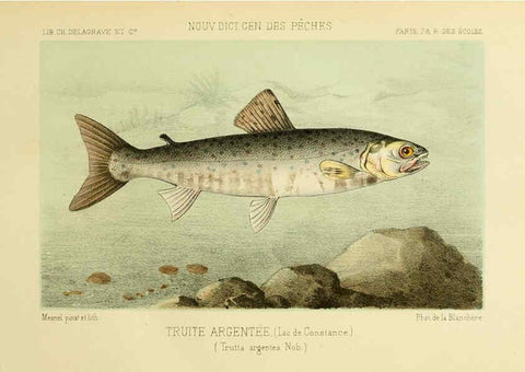 Reproducción/Reproduction 6267241054: La Pêche et les poissons Paris :C. Delagrave et cie,1868