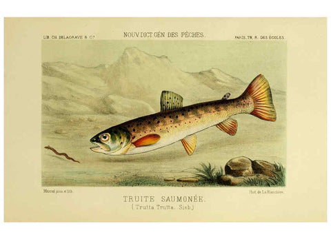 Reproducción/Reproduction 6267241398: La Pêche et les poissons Paris :C. Delagrave et cie,1868