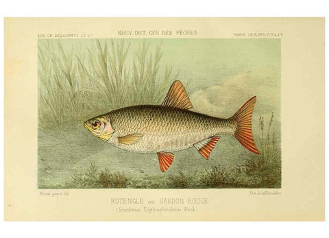 Reproducción/Reproduction 6267240054: La Pêche et les poissons Paris :C. Delagrave et cie,1868