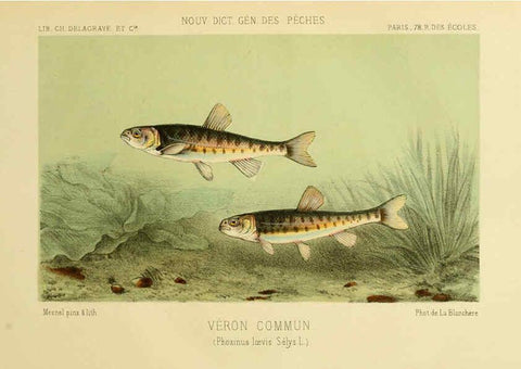 Reproducción/Reproduction 6267241596: La Pêche et les poissons Paris :C. Delagrave et cie,1868