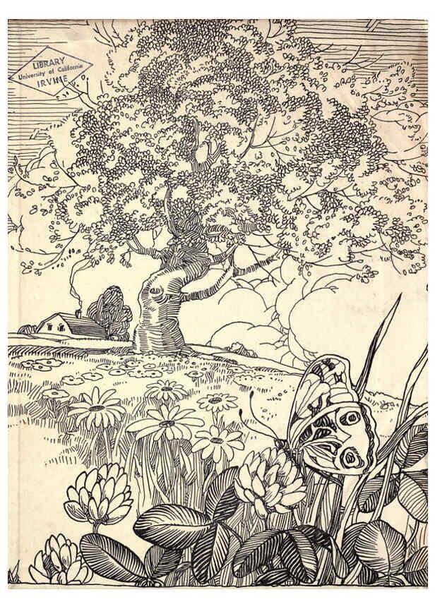Reproducción/Reproduction 6266854674: The moth book Garden City, New York :Doubleday, Page & company,1916