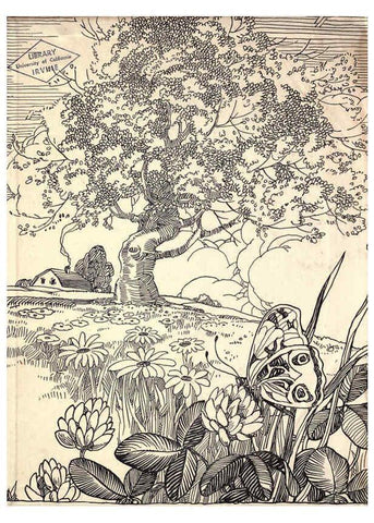 Reproducción/Reproduction 6266854674: The moth book Garden City, New York :Doubleday, Page & company,1916