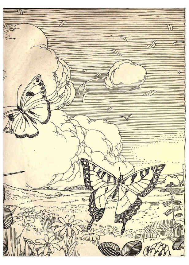 Reproducción/Reproduction 6266326999: The moth book Garden City, New York :Doubleday, Page & company,1916