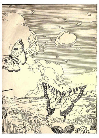 Reproducción/Reproduction 6266326999: The moth book Garden City, New York :Doubleday, Page & company,1916