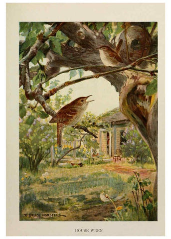 Reproducción/Reproduction 6263694989: Bird biographies New York,Dodd, Mead,1923