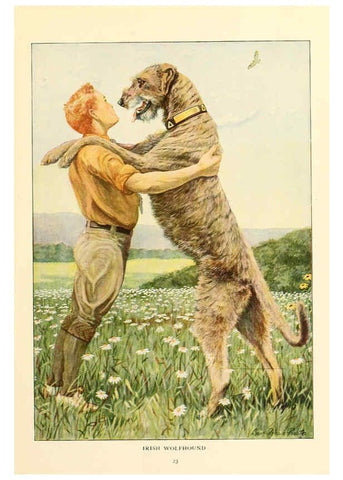 Reproducción/Reproduction 6353219251: The book of dogs Washington, D. C.,The National geographic society[c1919] 