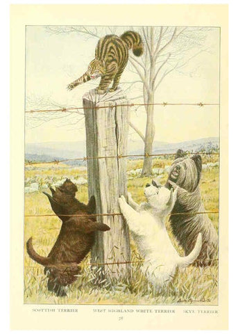 Reproducción/Reproduction 6353229699: The book of dogs Washington, D. C.,The National geographic society[c1919] 