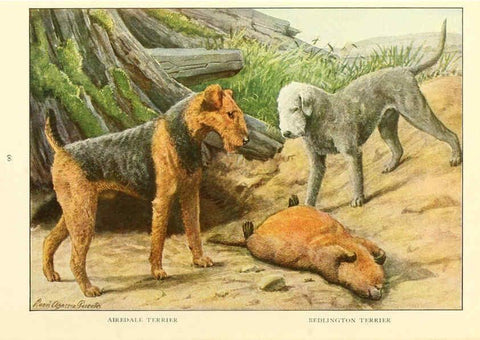 Reproducción/Reproduction 6353227111: The book of dogs Washington, D. C.,The National geographic society[c1919] 