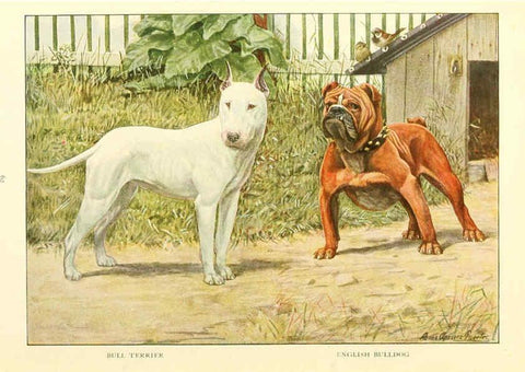 Reproducción/Reproduction 6353226297: The book of dogs Washington, D. C.,The National geographic society[c1919] 