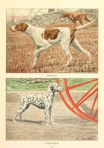 Reproducción/Reproduction 6353220761: The book of dogs Washington, D. C.,The National geographic society[c1919] 