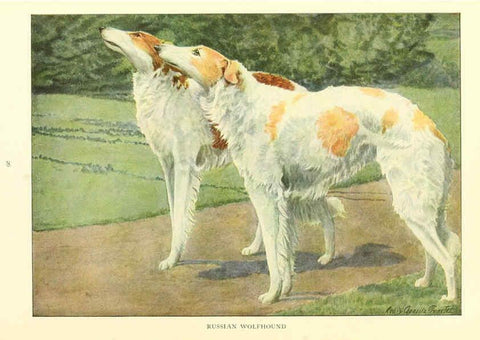 Reproducción/Reproduction 6353219587: The book of dogs Washington, D. C.,The National geographic society[c1919] 