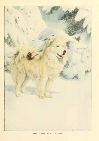 Reproducción/Reproduction 6353223959: The book of dogs Washington, D. C.,The National geographic society[c1919] 