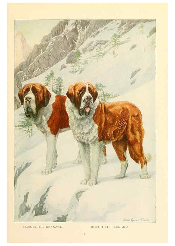 Reproducción/Reproduction 6353224685: The book of dogs Washington, D. C.,The National geographic society[c1919] 