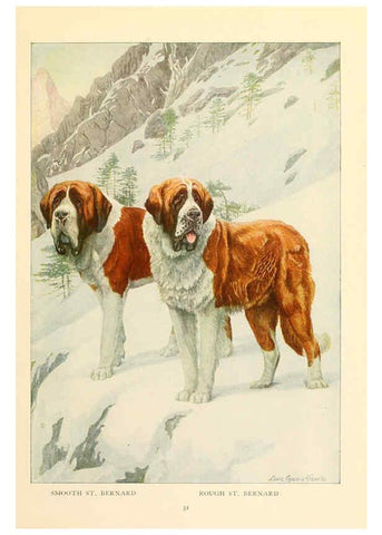 Reproducción/Reproduction 6353224685: The book of dogs Washington, D. C.,The National geographic society[c1919] 