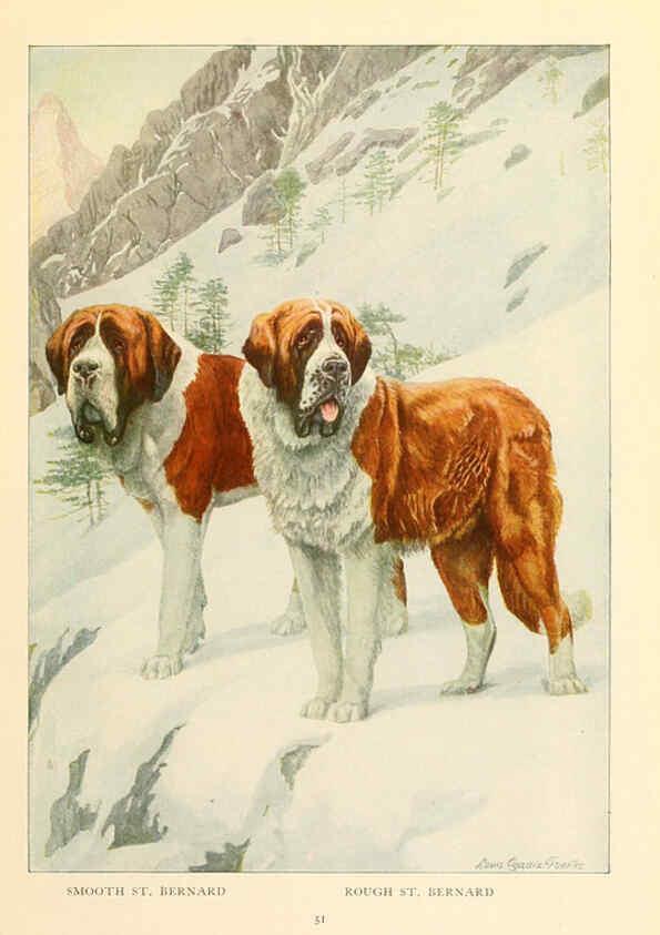 Reproducción/Reproduction 6353224685: The book of dogs Washington, D. C.,The National geographic society[c1919] 