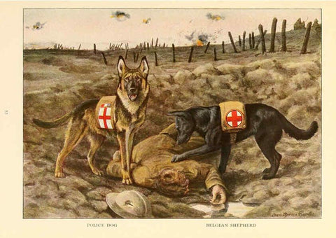 Reproducción/Reproduction 6353225323: The book of dogs Washington, D. C.,The National geographic society[c1919] 