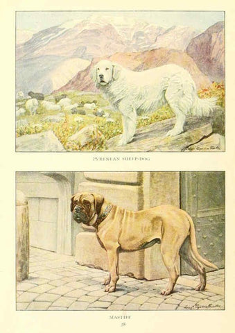 Reproducción/Reproduction 6353225625: The book of dogs Washington, D. C.,The National geographic society[c1919] 