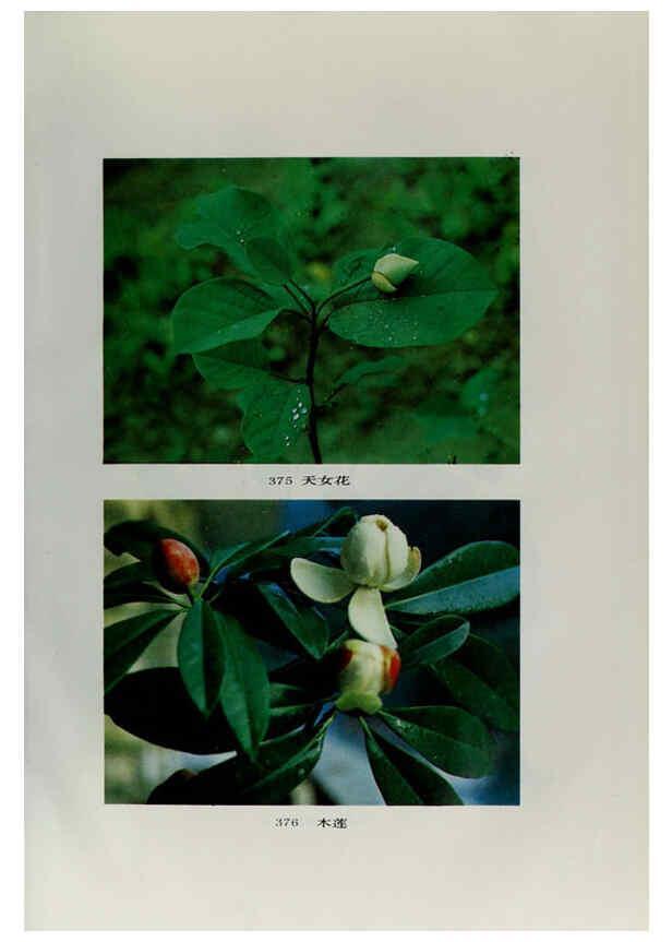 Reproducción/Reproduction 6329132852: an hui jing ji zhi wu zhi 安徽经济植物志 an hui ke xue ji shu chu ban she安徽科学技术出版社 