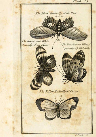 Reproducción/Reproduction 6309426394: The natural history of insects Perth :Printed by R. Morrison Junior,1792