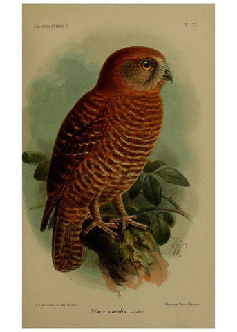 Reproducción/Reproduction 6376432779: A monograph of Christmas Island (Indian Ocean) London,Printed by order of the Trustees,1900