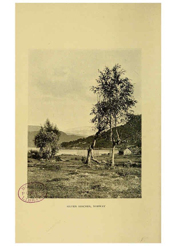 Reproducción/Reproduction 6376505961: Trees in nature, myth and art London :Methuen & Co.,1907