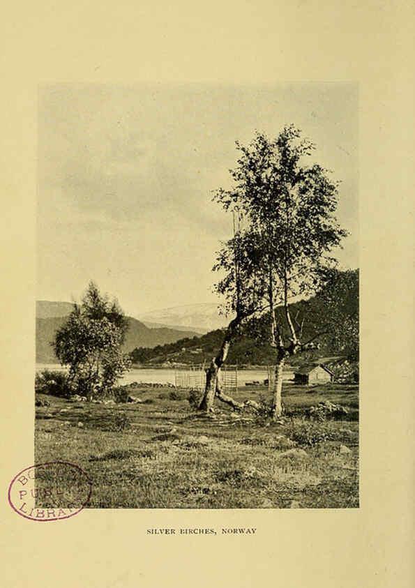 Reproducción/Reproduction 6376505961: Trees in nature, myth and art London :Methuen & Co.,1907