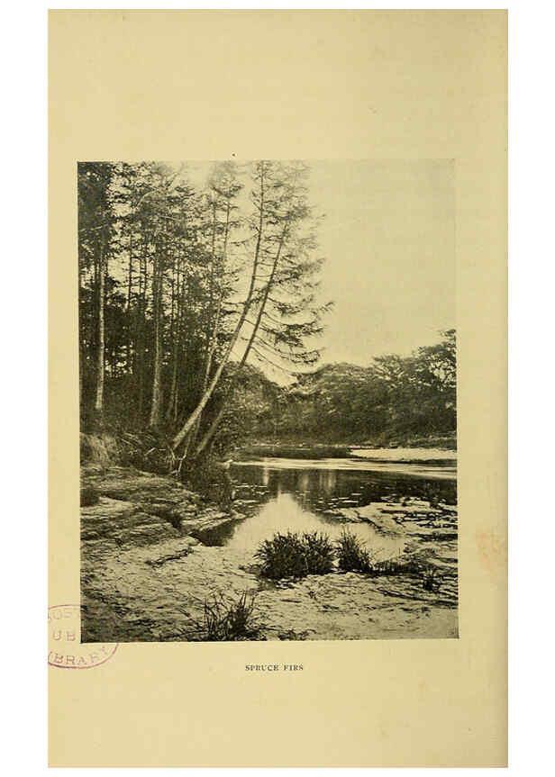 Reproducción/Reproduction 6376506937: Trees in nature, myth and art London :Methuen & Co.,1907