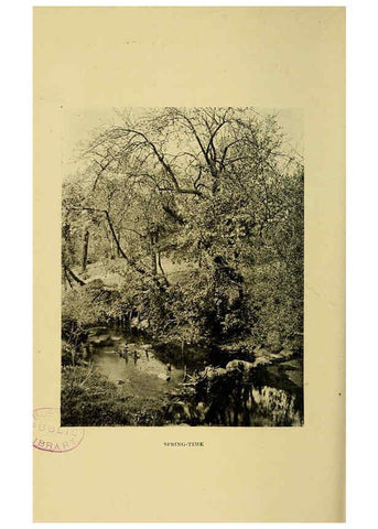 Reproducción/Reproduction 6376507351: Trees in nature, myth and art London :Methuen & Co.,1907