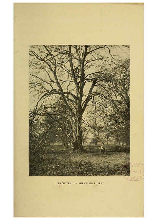 Reproducción/Reproduction 6376507965: Trees in nature, myth and art London :Methuen & Co.,1907
