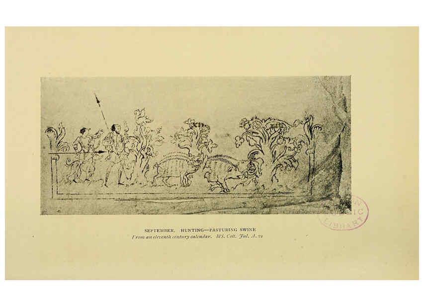 Reproducción/Reproduction 6376513531: Trees in nature, myth and art London :Methuen & Co.,1907