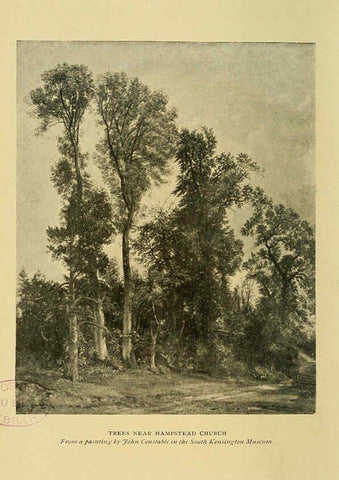 Reproducción/Reproduction 6376516023: Trees in nature, myth and art London :Methuen & Co.,1907