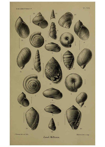 Reproducción/Reproduction 6376434413: A monograph of Christmas Island (Indian Ocean) London,Printed by order of the Trustees,1900