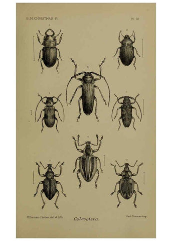 Reproducción/Reproduction 6376435395: A monograph of Christmas Island (Indian Ocean) London,Printed by order of the Trustees,1900