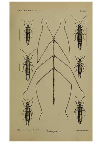 Reproducción/Reproduction 6376435711: A monograph of Christmas Island (Indian Ocean) London,Printed by order of the Trustees,1900
