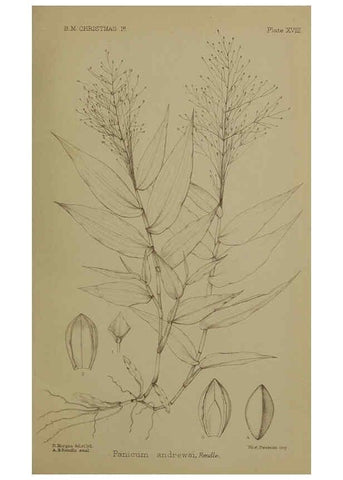 Reproducción/Reproduction 6376437655: A monograph of Christmas Island (Indian Ocean) London,Printed by order of the Trustees,1900