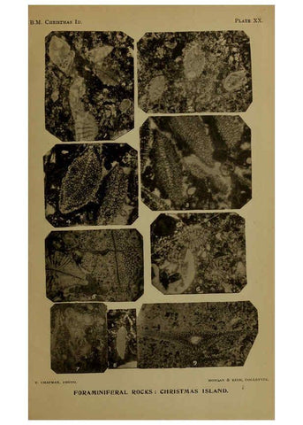 Reproducción/Reproduction 6376438275: A monograph of Christmas Island (Indian Ocean) London,Printed by order of the Trustees,1900