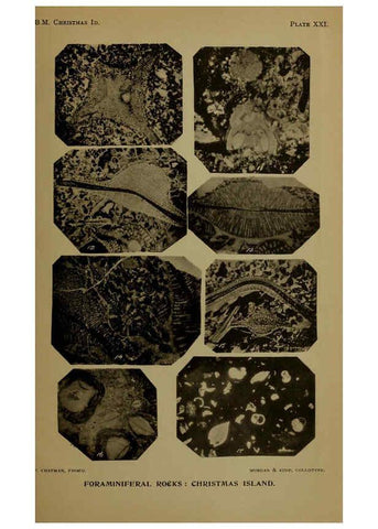 Reproducción/Reproduction 6376438789: A monograph of Christmas Island (Indian Ocean) London,Printed by order of the Trustees,1900